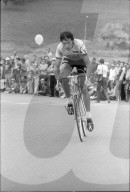 Ueli Sutter