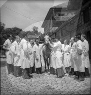 rdb00310380
