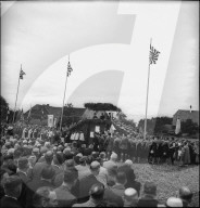 rdb00311222