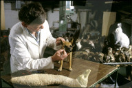 Hanspeter Greb