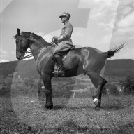rdb00311601