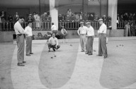 rdb00311677
