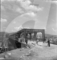 rdb00301160