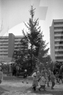 rdb00313443