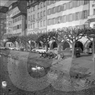 rdb00313843
