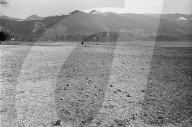 rdb00331960