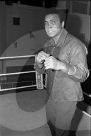 Muhammad Ali