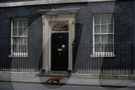 FEATURE - London: Ein Fuchs zu Besuch an 10 Downing Street