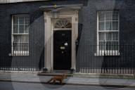 FEATURE - London: Ein Fuchs zu Besuch an 10 Downing Street