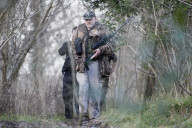 NEWS - England jagt einen entfohenen Wolf