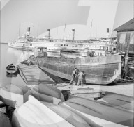 rdb00315644