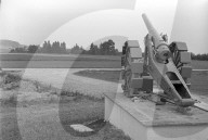 rdb00315919