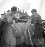 rdb00334242