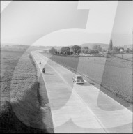 rdb00317343