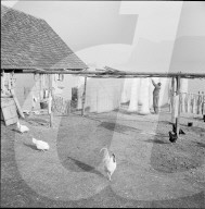 rdb00318373