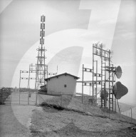 rdb00337304