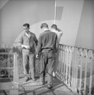 rdb00319707