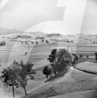 rdb00337433