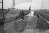 rdb00337592