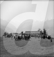 rdb00337658