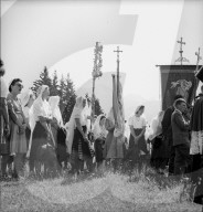 rdb00337660
