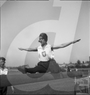rdb00338058
