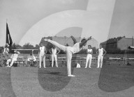 rdb00338060