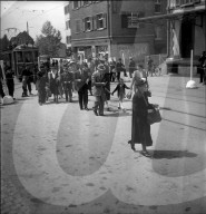 rdb00322876