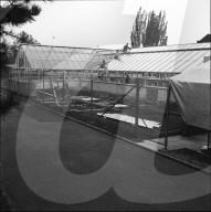 rdb00341244