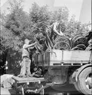 rdb00341992