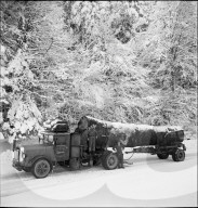 rdb00341995