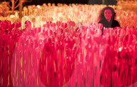 FEATURE - Nächtliche Lichterpracht: Lumiere London Light Festival