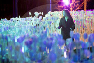FEATURE - Nächtliche Lichterpracht: Lumiere London Light Festival