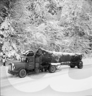 rdb00345394