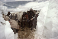 rdb00346271