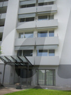 Celjiko B.