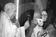 NEWS - Spanien: Tiere werden gesegnet am  St. Antoniustag (s/w)	
