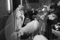 NEWS - Spanien: Tiere werden gesegnet am  St. Antoniustag (s/w)	