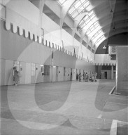 rdb00347245