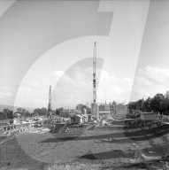 rdb00347352