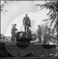 rdb00347736