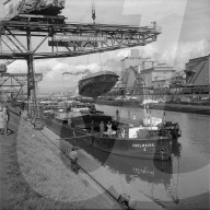rdb00331093