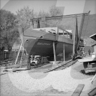 rdb00331094