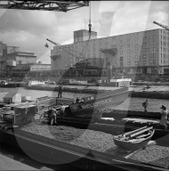 rdb00331165