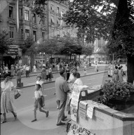 rdb00349501