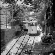 rdb00350226