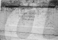 rdb00350530