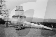 rdb00350532