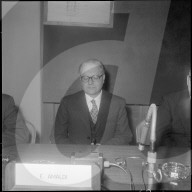Edoardo Amaldi