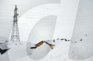 rdb00363272